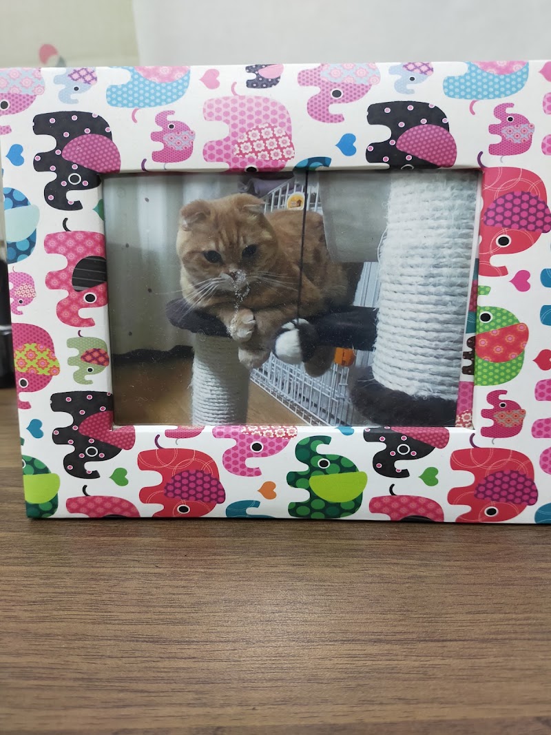 ペットの葬儀屋さん『大阪犬友社』の写真