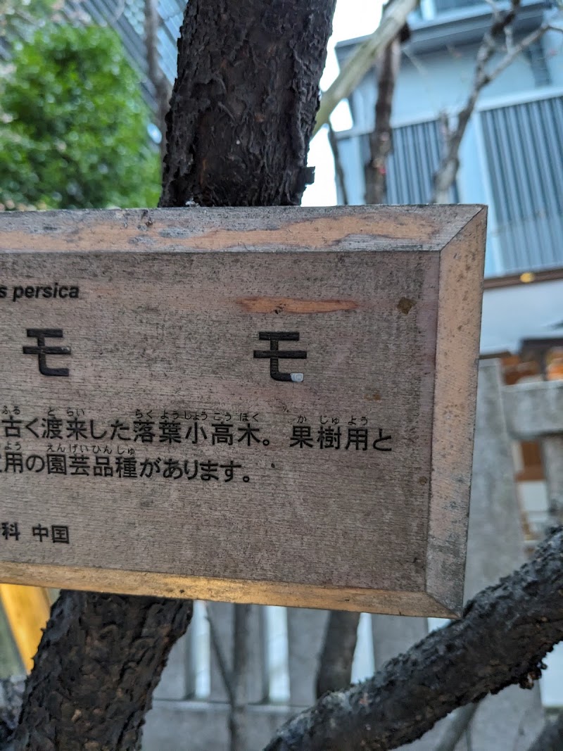 にじのはしペット火葬の写真