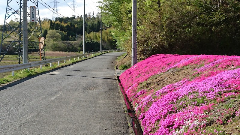 いわきペット霊園の写真
