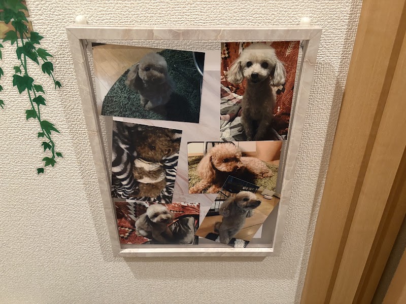 ペットメモリアルぽえむの写真