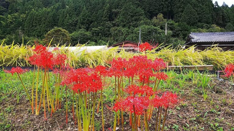 こどもの寺童楽寺の写真