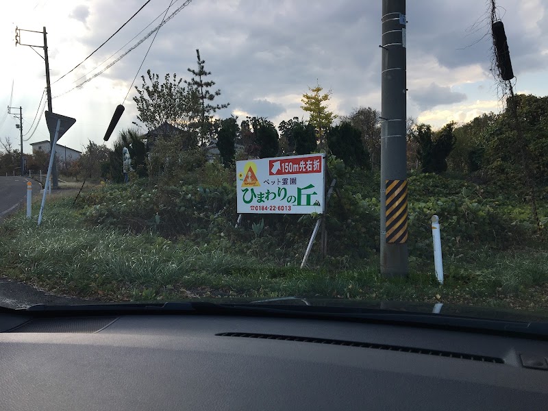 ペット霊園ひまわりの丘(ドッグラン併設)の写真
