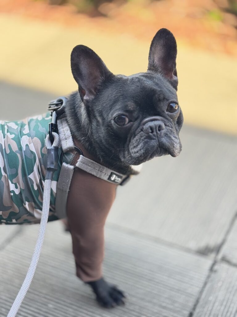 ペット火葬ハピネス名古屋の写真