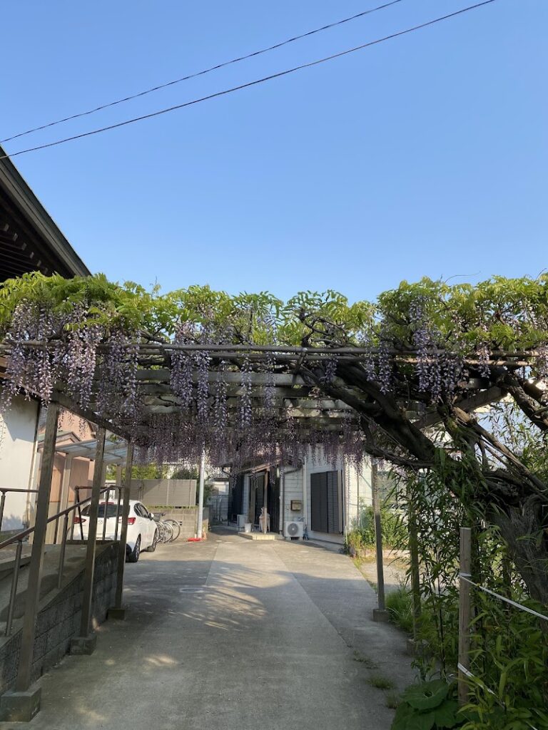 日蓮宗 正国山 妙応寺の写真