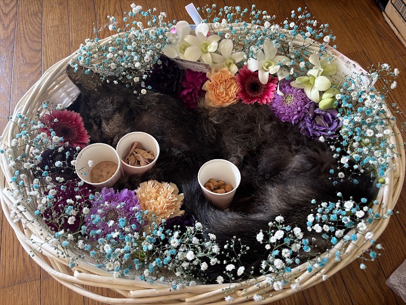 ペットのお葬式ＣｏＣｏの写真