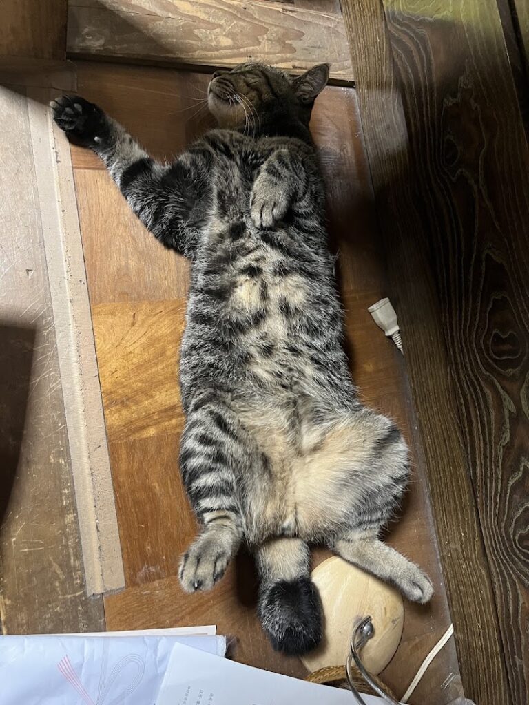 優心セレモニーの写真