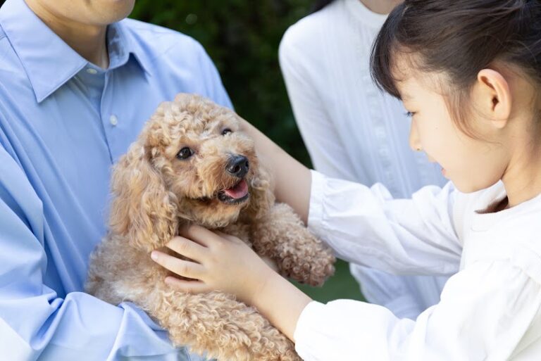 ペット火葬・自宅葬のPAWS MEMORY（パウズメモリー）の写真