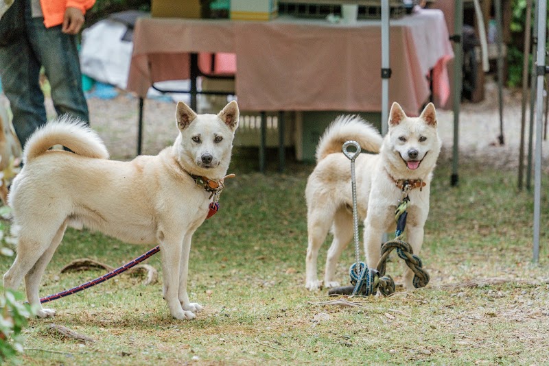ペット霊園 愛の森の写真