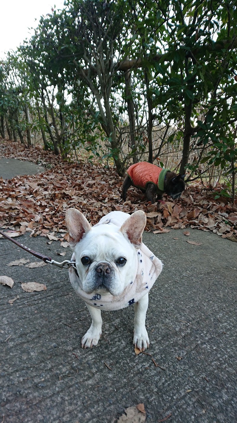 福泉寺動物霊園の写真