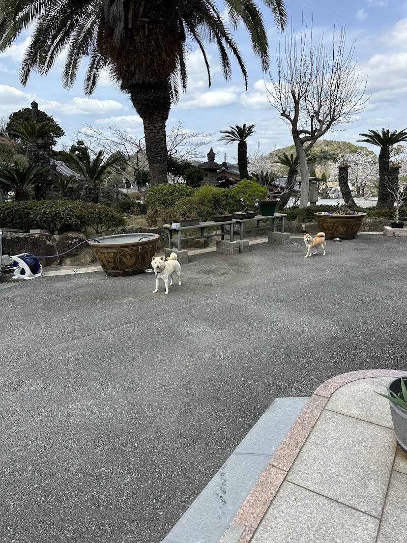 杜の泉動物霊園の写真