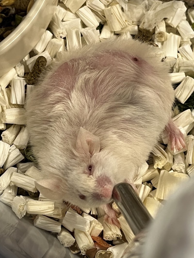 愛ペット動物霊園の写真