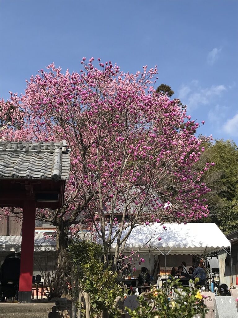 加納寺の写真