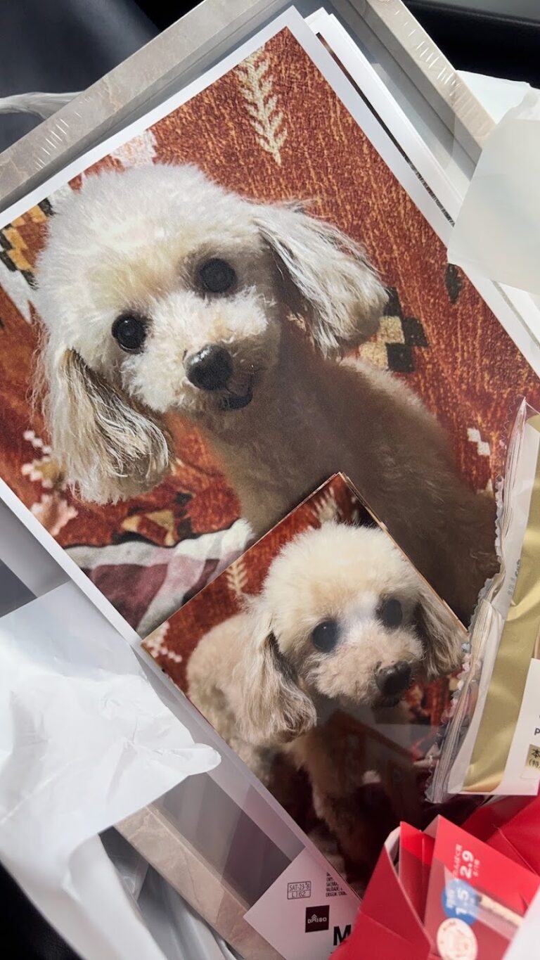 ペットメモリアルぽえむの写真