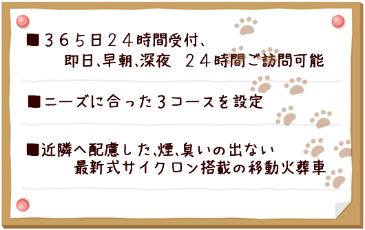 パシフィックエンジェルの写真