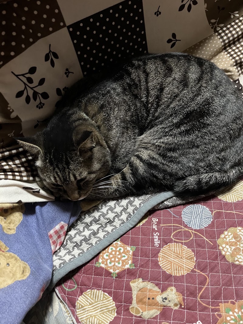 優心セレモニーの写真