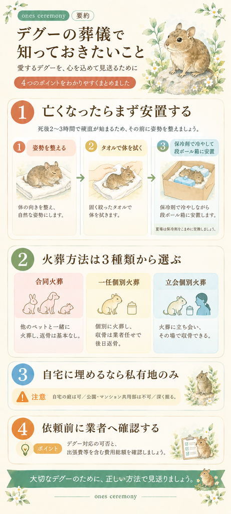 デグーの葬儀で知っておきたいこと