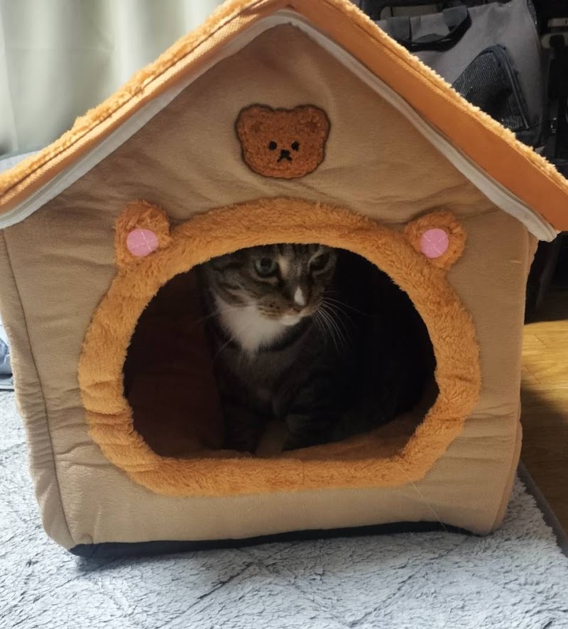 ペット訪問セレモニー福山の写真