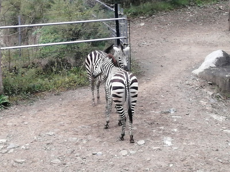 盛岡動物霊園の写真