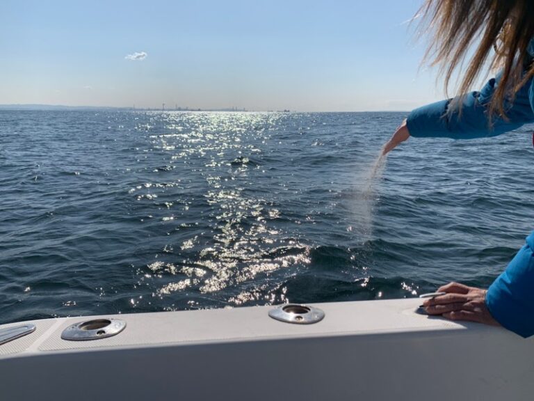 ペットセレモニー美空の写真