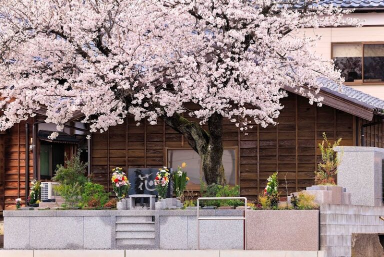 蓮照寺の写真