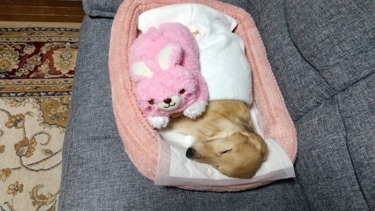 小樽ペット霊園の写真