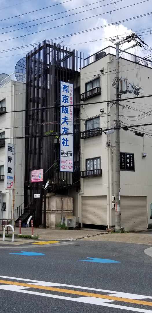 京阪犬友社の写真