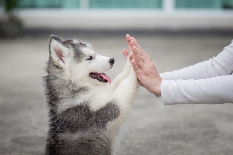 SPAのお見送りの写真
