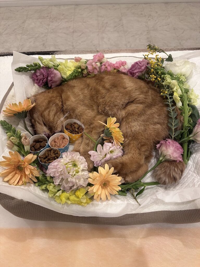 ペットライフサポート那珂川ホールの写真