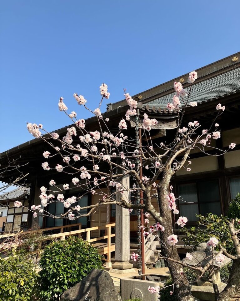 円福寺動物霊園の写真