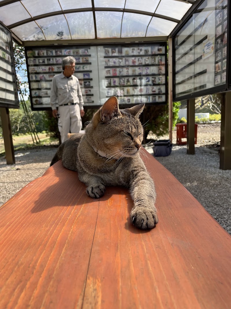 ペット火葬ペット霊園宇都宮の写真