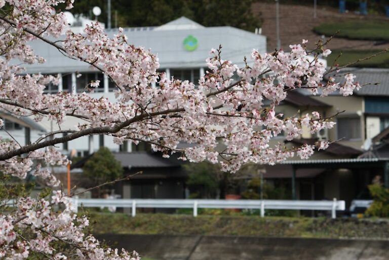 川根本町役場本庁舎の写真
