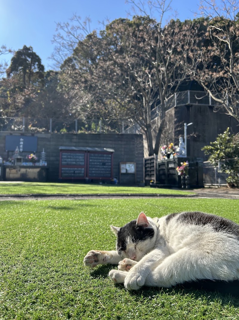 慈愛の丘 とそ動物霊園の写真