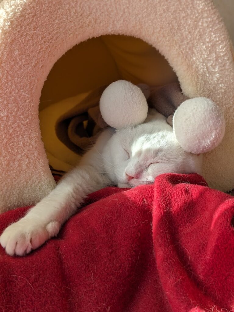 にじのはしペット火葬の写真