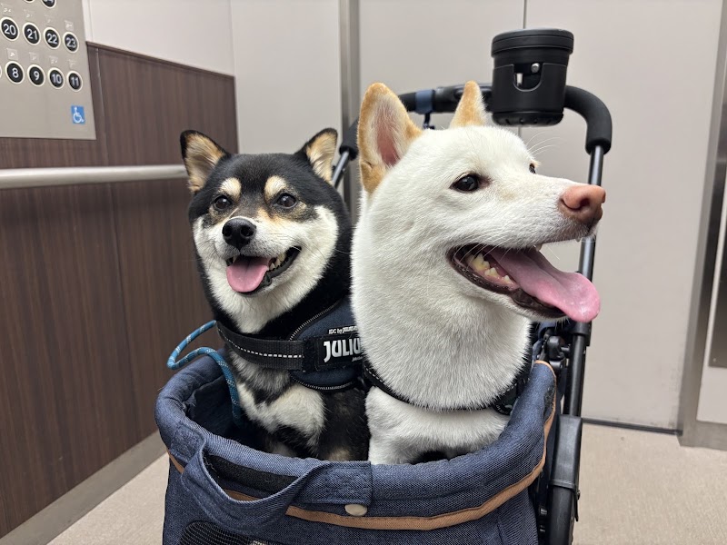 福山ペットセレモの写真
