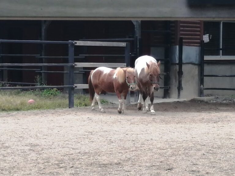 盛岡動物霊園の写真
