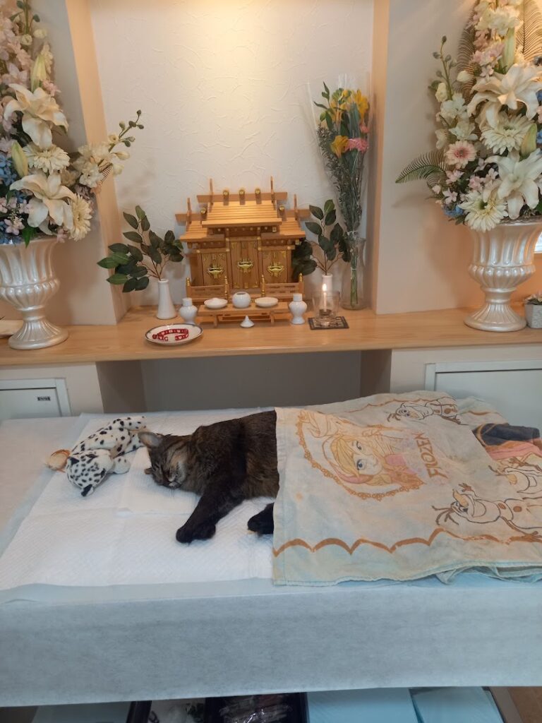 ペット葬儀しんしろの写真