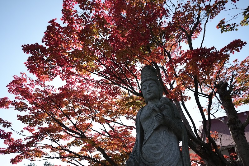 妙法寺の写真