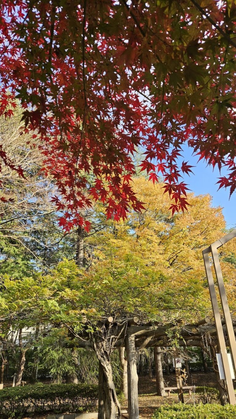 市川市斎場の写真