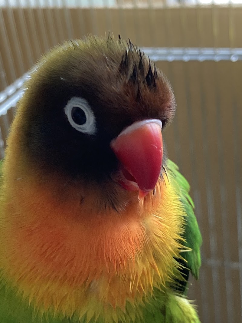 ペット火葬ハピネス京都の写真