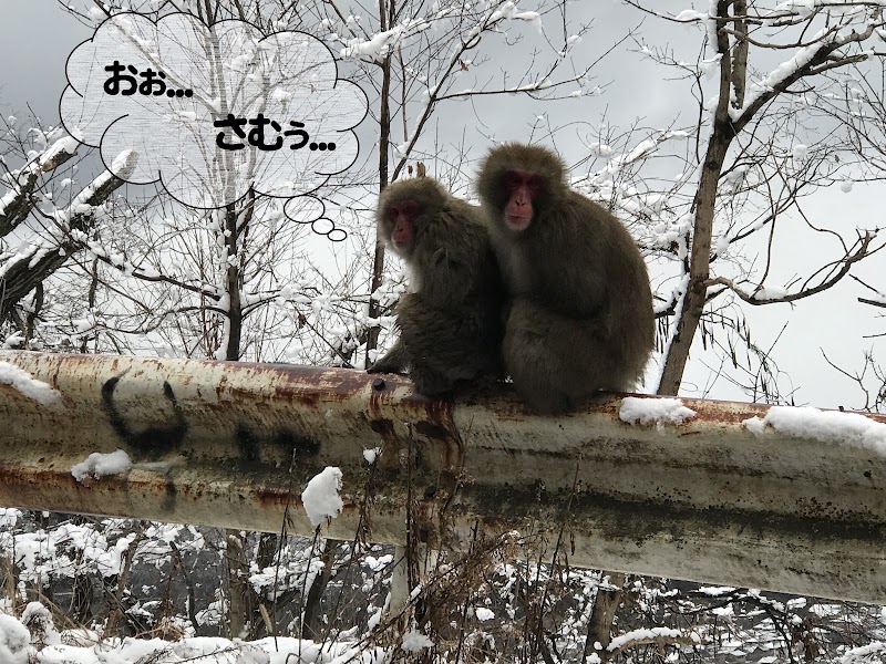 山の上のベルナペットセレモニーの写真