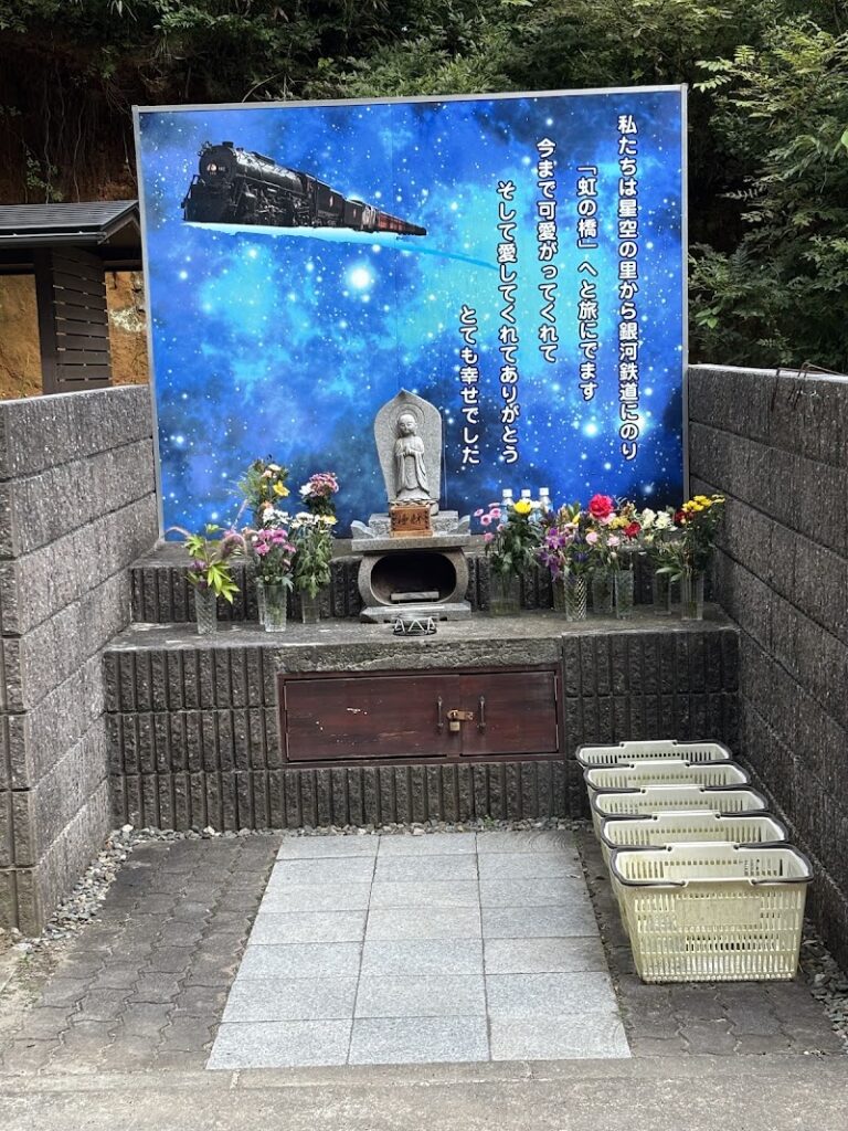 星空の里の写真