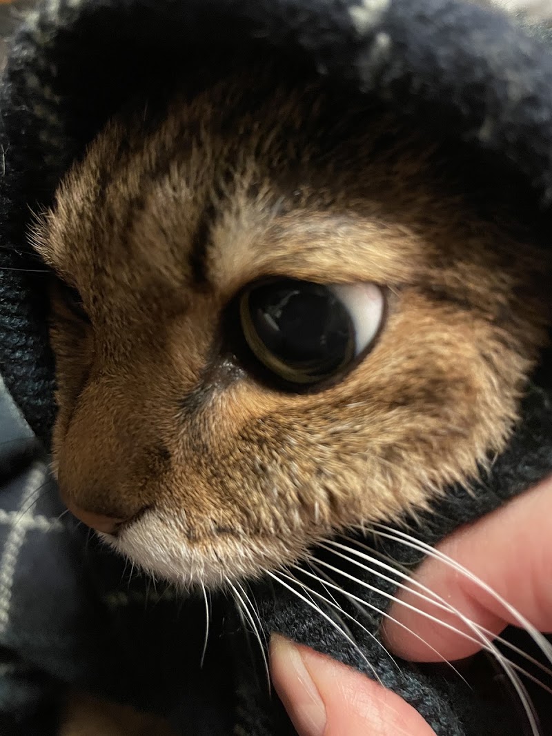 ペット火葬虹の園の写真