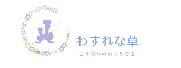 わすれな草 ～どうぶつのおくりびと～の写真