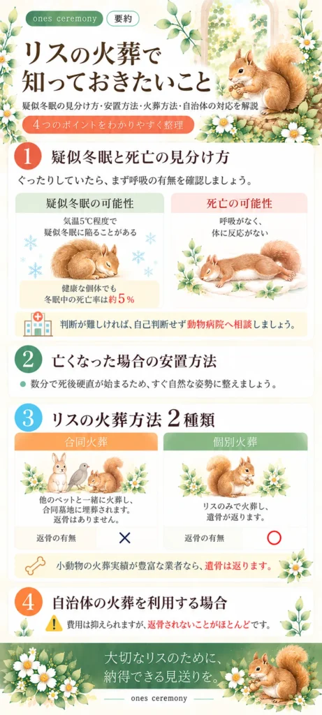 リスの火葬で知っておきたい疑似冬眠と死亡の見分け方、亡くなった場合の安置方法、火葬方法2種類、自治体火葬の注意点をまとめた図解