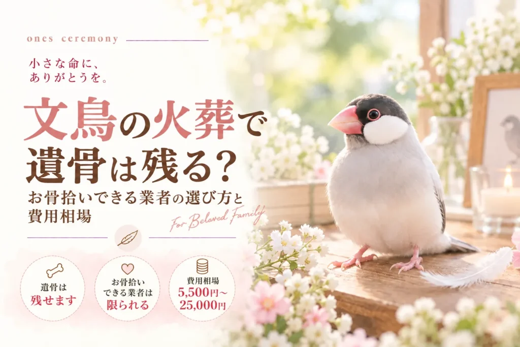 文鳥の火葬で遺骨が残るか、お骨拾いに対応する業者の選び方や費用相場を紹介。くすみピンク色で強調した見出しの横に、桜文鳥が木製の台に佇み、白い小花や羽、キャンドルに囲まれている。柔らかな自然光が差し込む穏やかな構図。