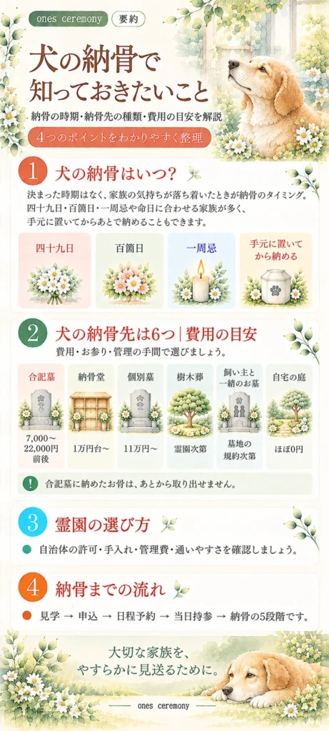 犬の納骨時期と6つの納骨先を比較した図解。四十九日・百箇日・一周忌などの目安、納骨費用、霊園の選び方、納骨までの流れを紹介。