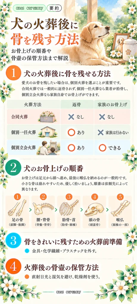 犬の火葬後に骨を残す方法をまとめた図解。合同火葬・個別一任火葬・個別立会火葬の返骨と家族のお骨上げの違い、足の骨から喉仏までの5ステップ、火葬前の準備、骨壷の保管方法を紹介。