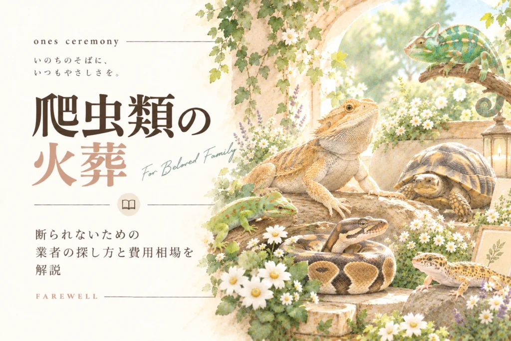 爬虫類 火葬について伝える、フトアゴヒゲトカゲやカメ、ヘビ、ヤモリ、カメレオンなど多様な爬虫類と、業者選びや費用相場をまとめたアイキャッチ