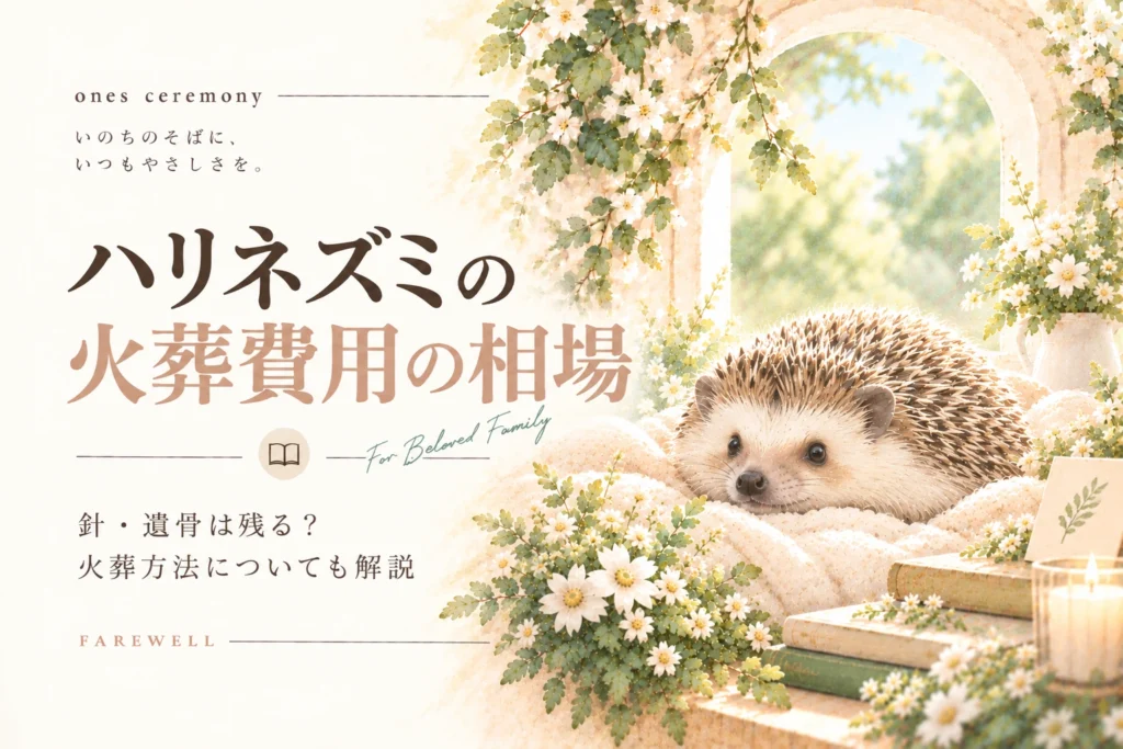 ハリネズミ 火葬 費用について伝える、白い花と柔らかな自然光に囲まれたハリネズミと、針や遺骨の残り方、火葬方法をまとめたアイキャッチ