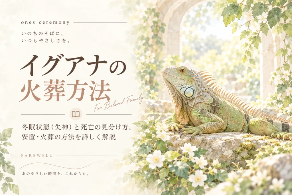 イグアナ 火葬のポイントを伝える、白い花と緑に囲まれたイグアナが柔らかな自然光の中で穏やかに佇む、水彩タッチのアイキャッチ